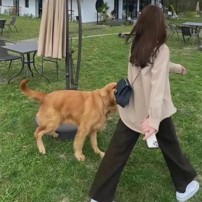 我的黑帮恋人
